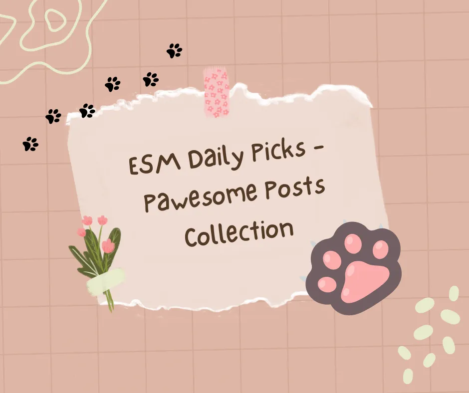 Beige and Brown Minimalist Cute Daily Quote Facebook Post.png