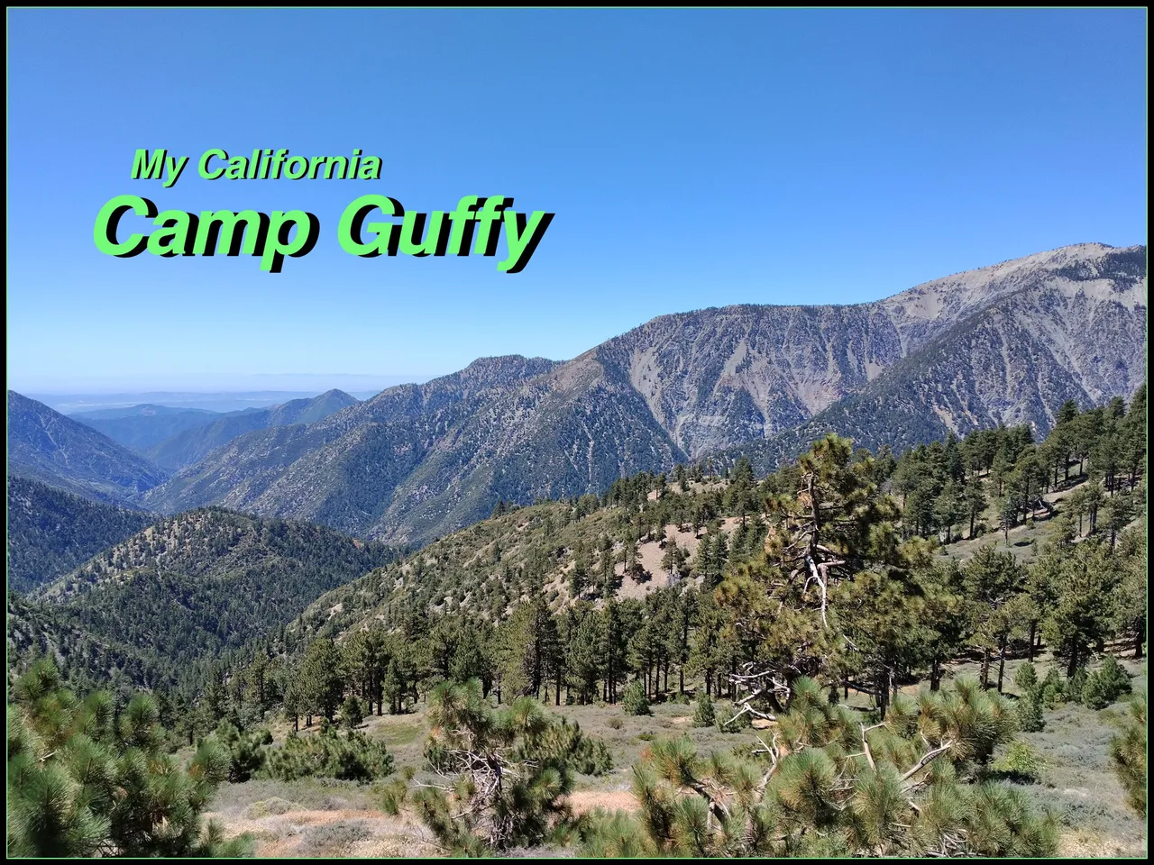Camp Guffy cover.jpg