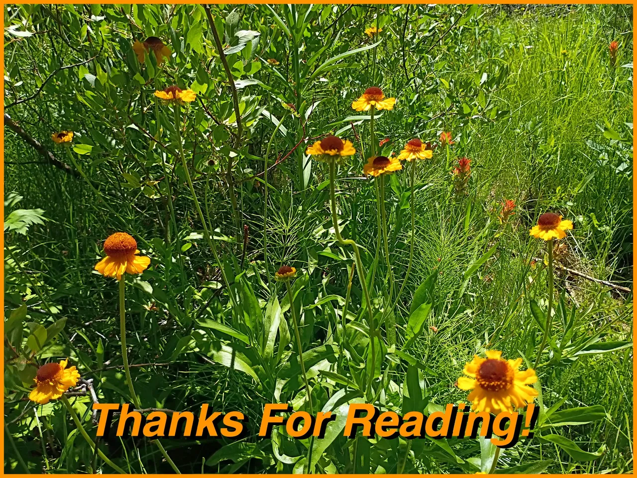 Piute thanks.jpg