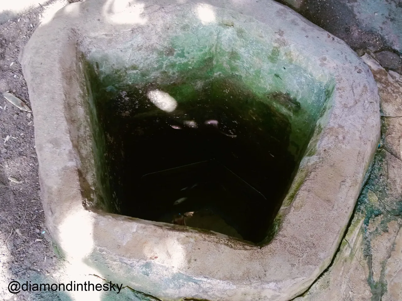 blog14 pic4.jpg