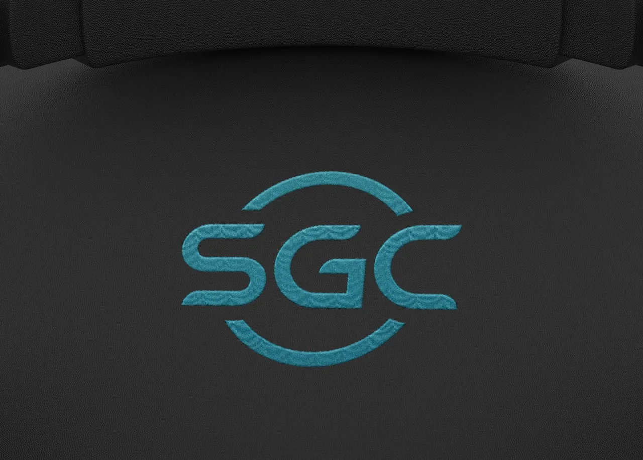 Car Seat - Logo.jpg