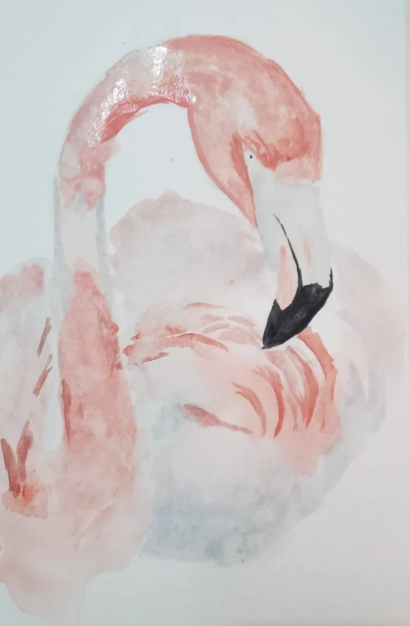 flamingo3.jpeg