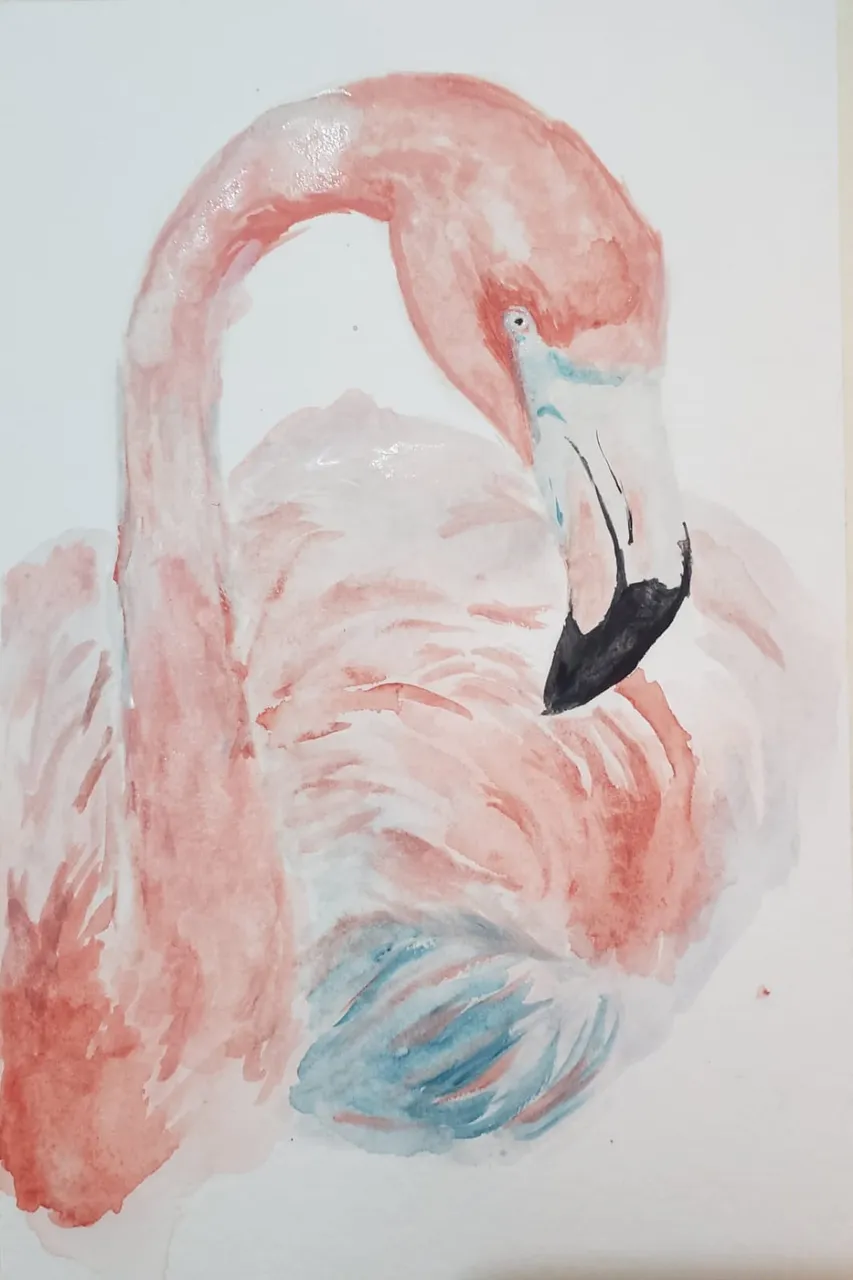flamingo4.jpeg
