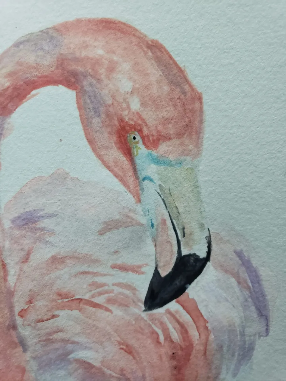 flamingo7.jpeg