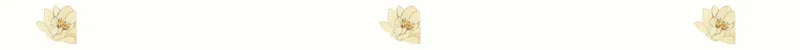 Flores 1.png