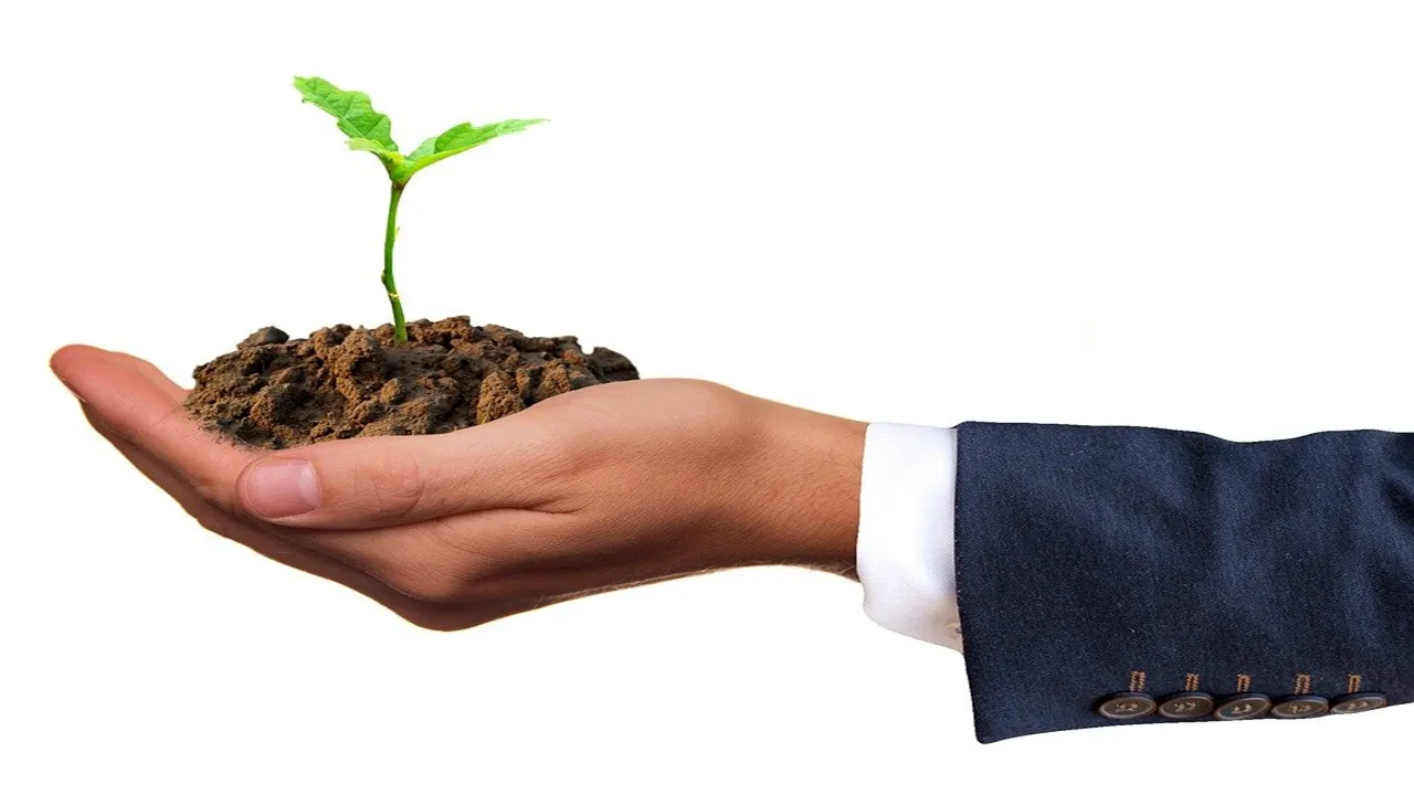 IMAG 3 Sembrar planta.png