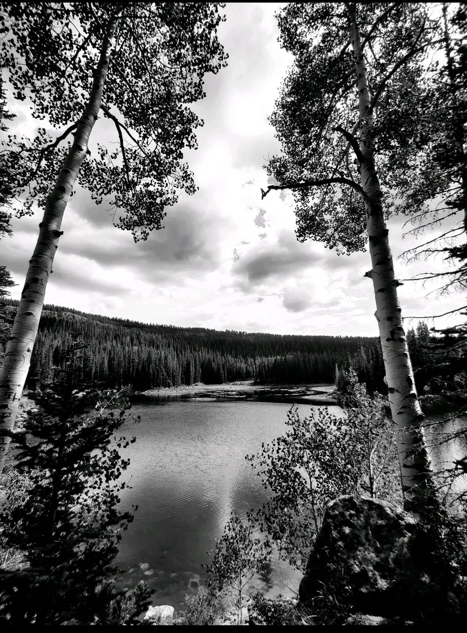 Screenshot_20210903-110223.jpg