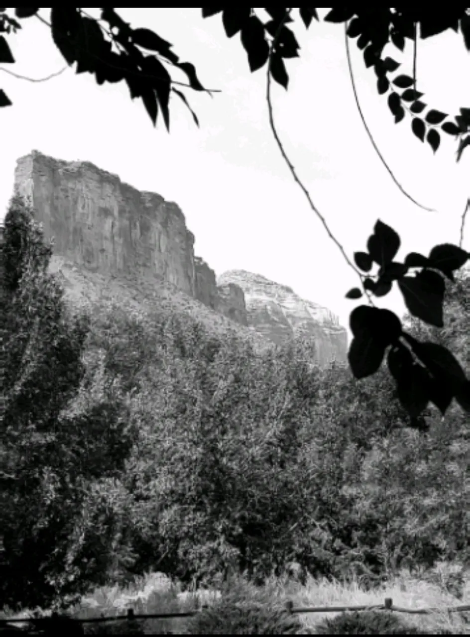 Screenshot_20210903-105556.jpg