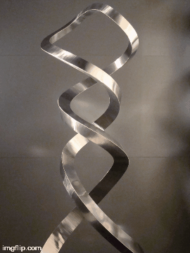 1000008680.gif
