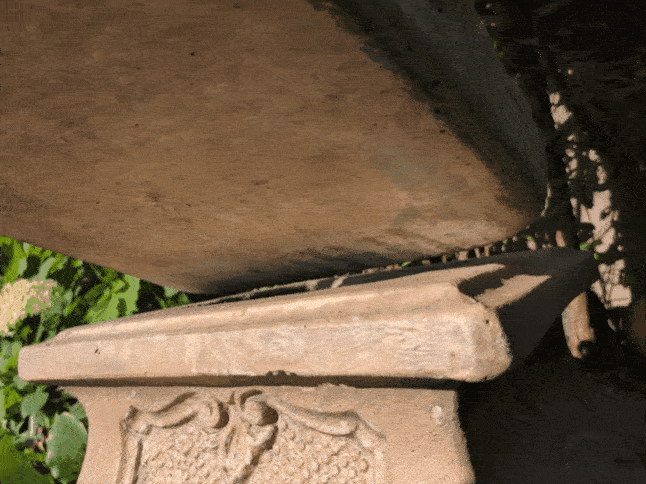 1000015164.gif