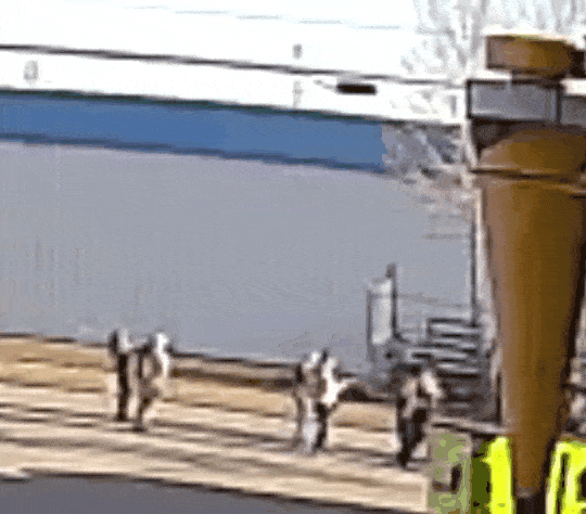 1000010458.gif