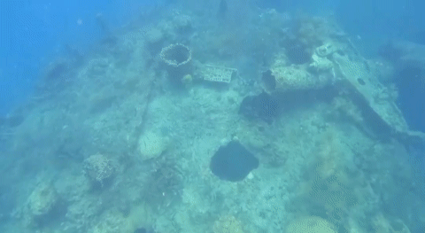 6ea853e2-1782-44b0-8908-501462c3a02f.gif