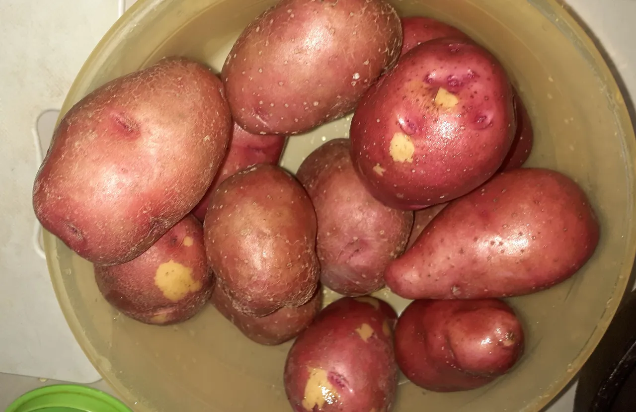 20220120_083903.jpg