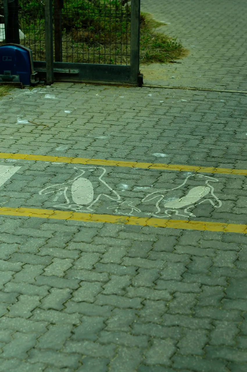39.JPG