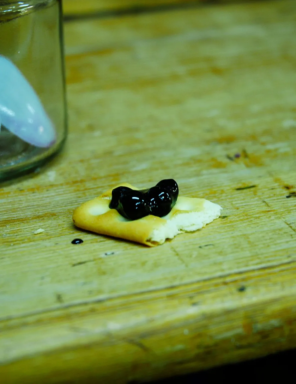 26.JPG