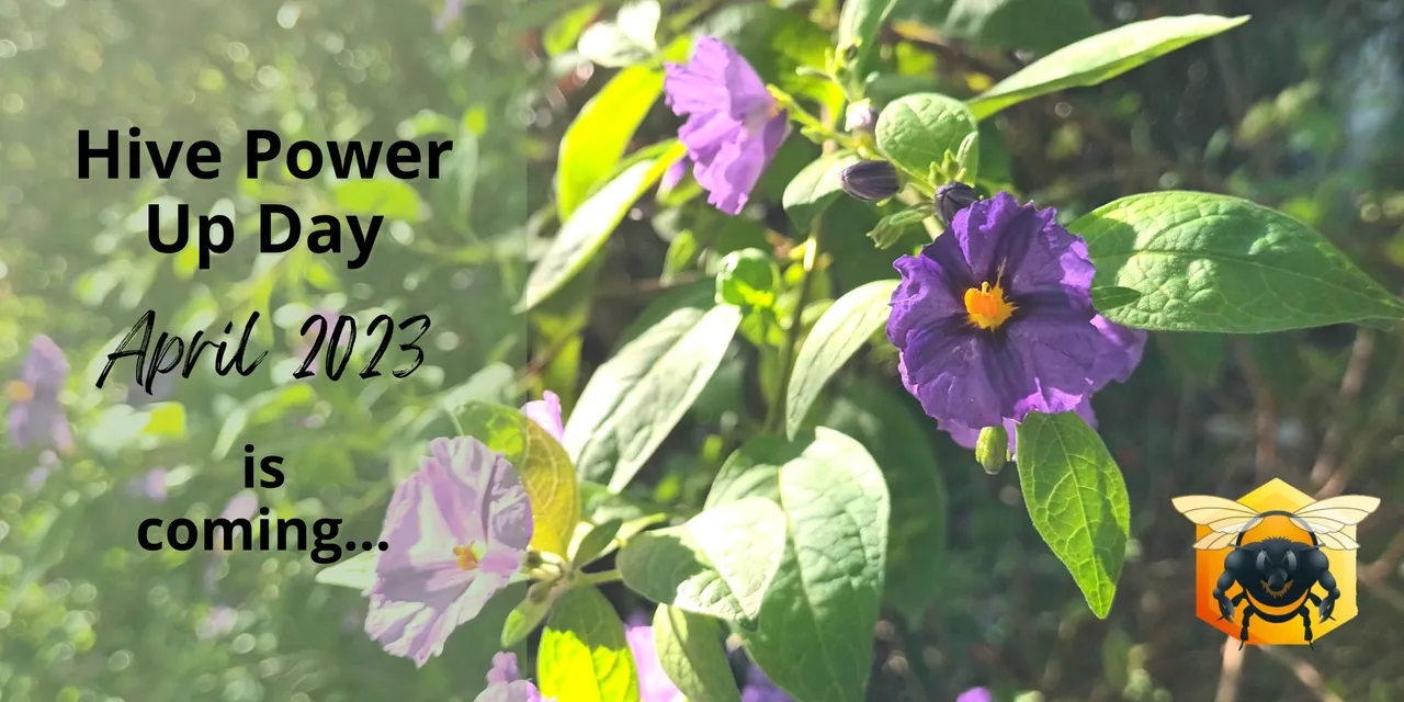 Aoril 2023 PUD is coming .jpg