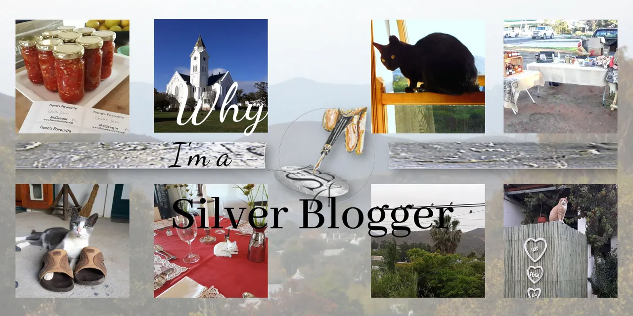 Why silver blogger.jpg