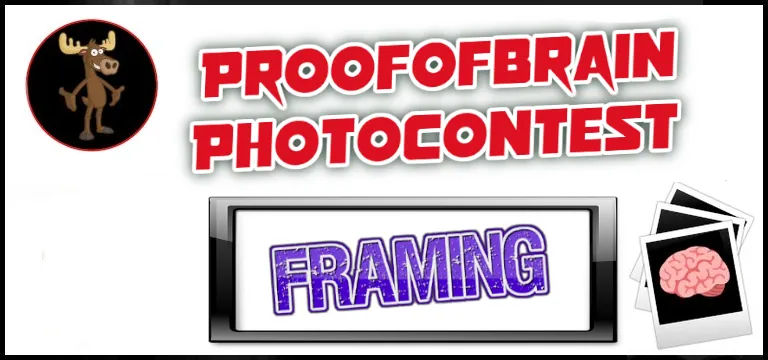 frame.png