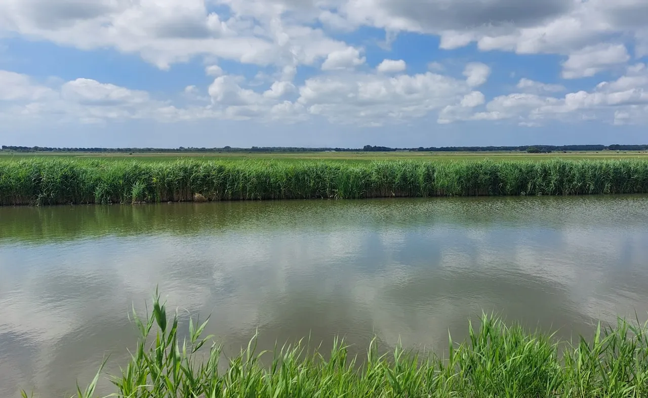 polder.png