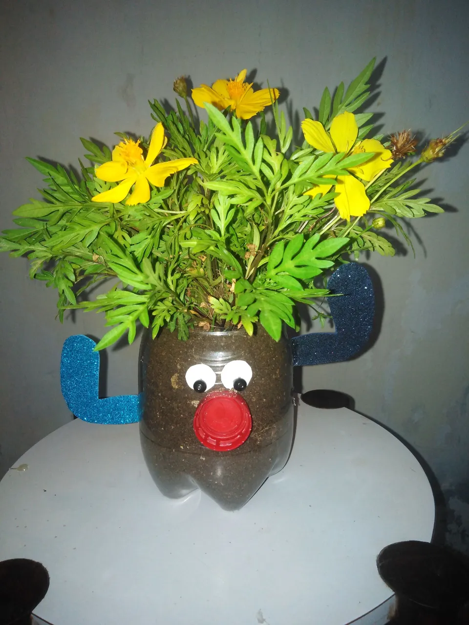 IMG_20210517_184035.jpg