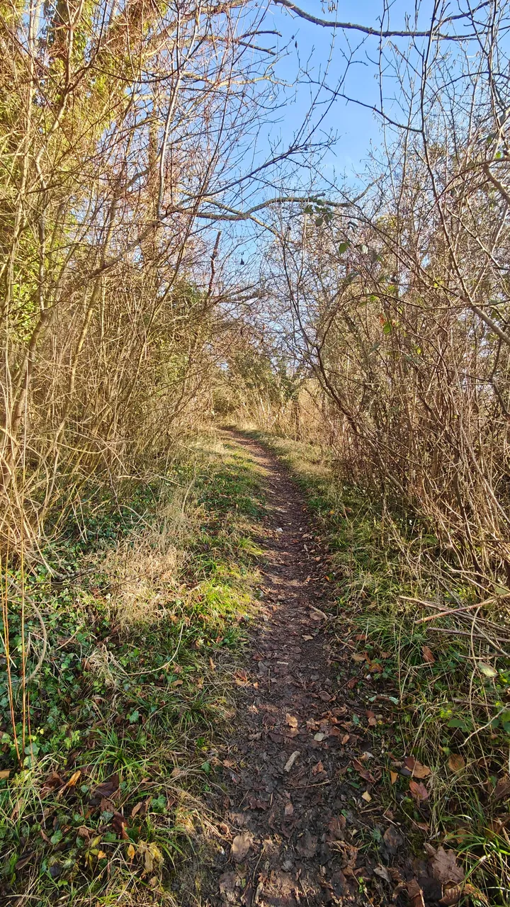 IMG20240116151548.jpg