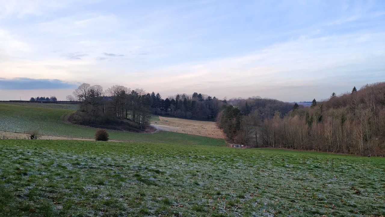 IMG20240116164011.jpg