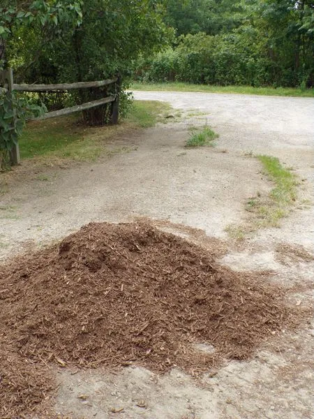 Hay bales gone from driveway crop August 2022.jpg