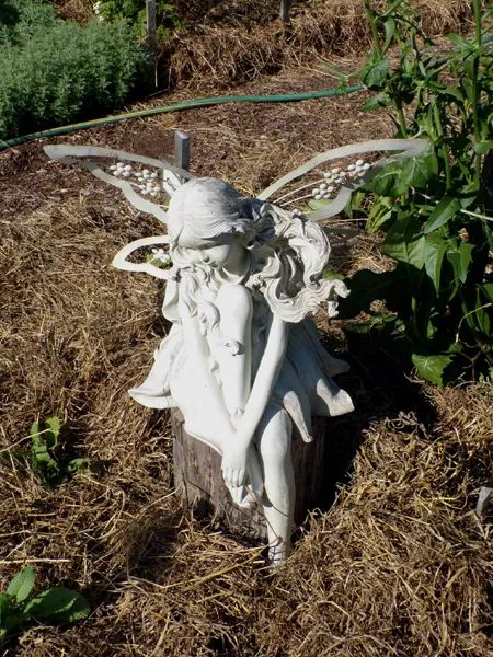 Fairy out in garden crop June 2024.jpg