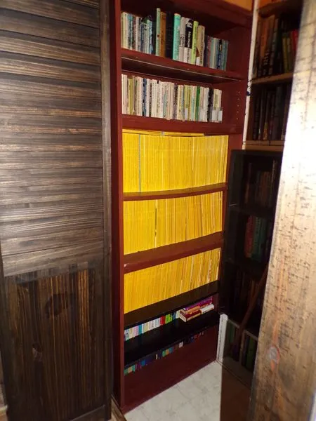 Landing bookcases finished crop Oct. 2021.jpg