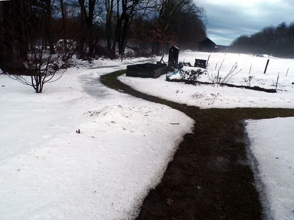 Mud and flood crop Jan. 2024.jpg