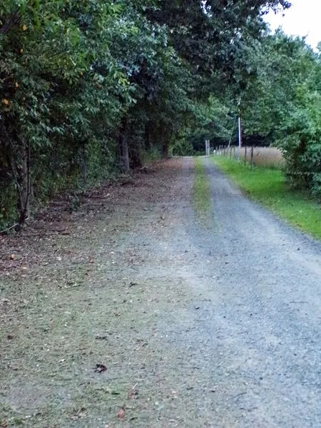 Driveway to road half done crop Sept 2022.jpg