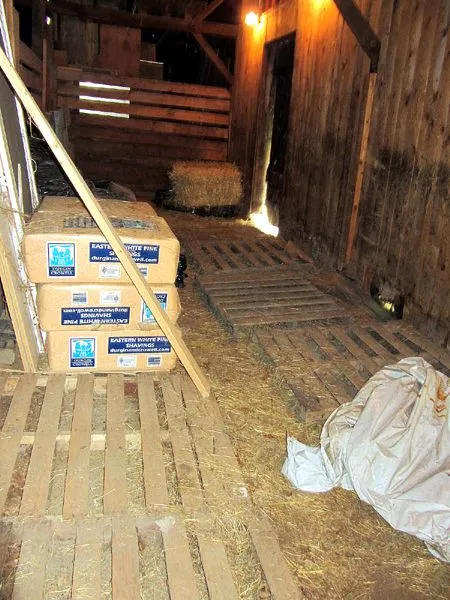 Empty hay stall crop August 2024.jpg