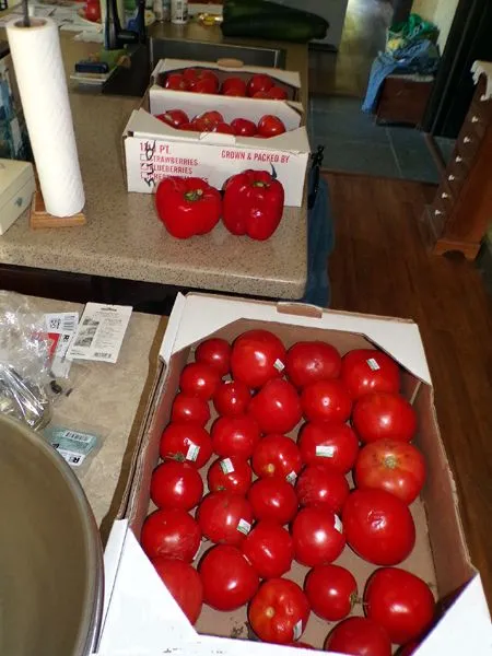 Spaghetti sauce2 - bought tomatoes and peppers crop Sept. 2023.jpg