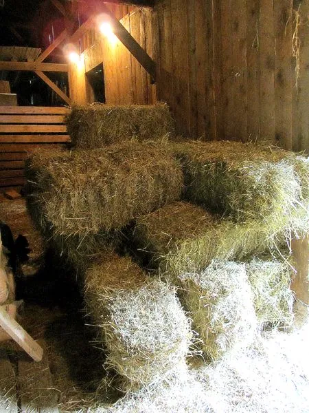 Mulch hay - 1st 25 crop August 2024.jpg