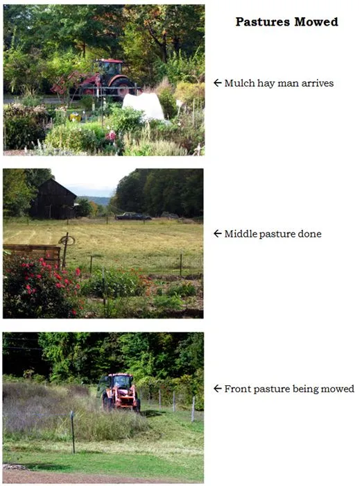 Pastures mowed collage text crop Oct 2024.jpg