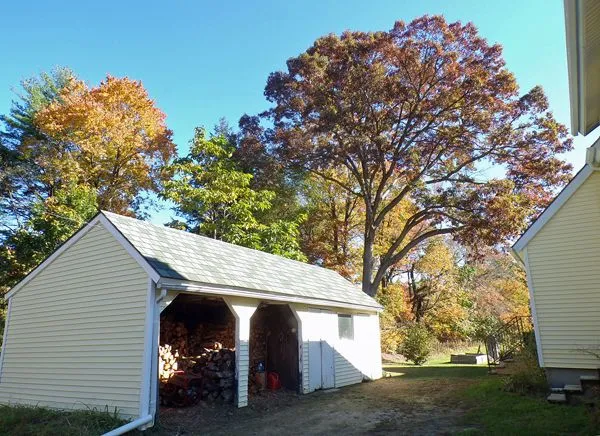 Shed and white oak crop Oct. 2021.jpg