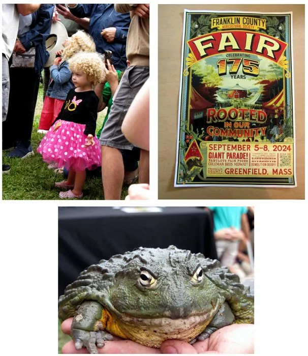 Fair collage2 crop Sept 2024.jpg