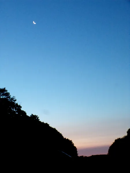 Morning moon crop July 2024.jpg