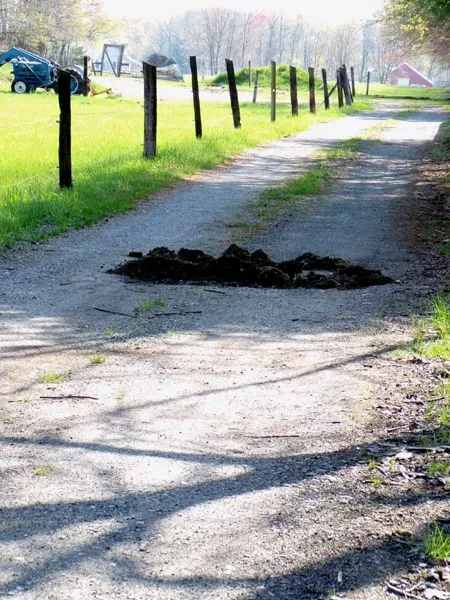 Hole in driveway crop April 2023.jpg