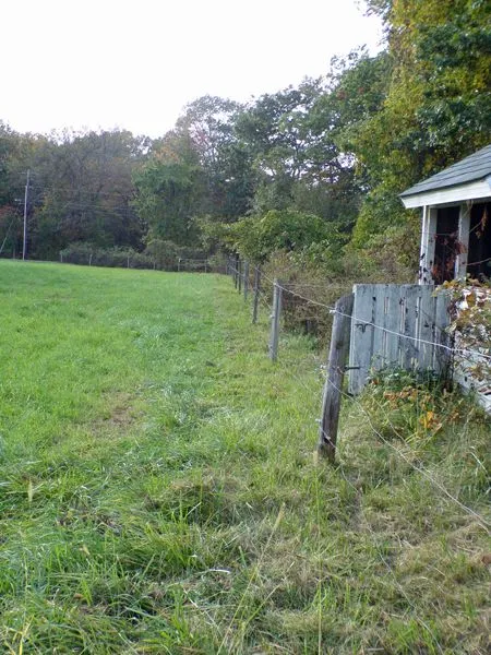 Front pasture fenceline cleaned crop Oct. 2021.jpg