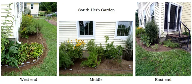 South Herb - cleaned out collage text crop July 2024.jpg