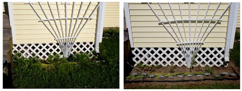 Back Porch garden - before-after collage crop July 2024.jpg