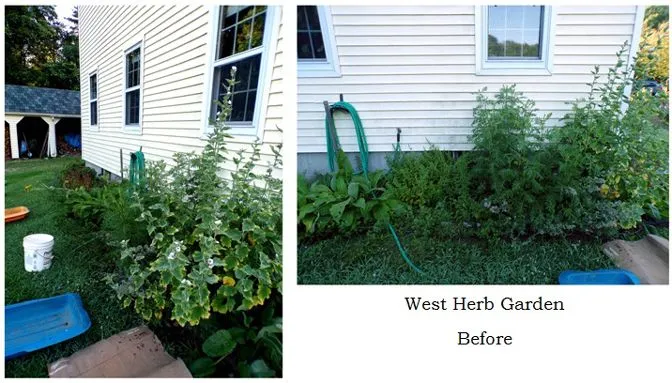 West Herb - before collage text crop July 2024.jpg