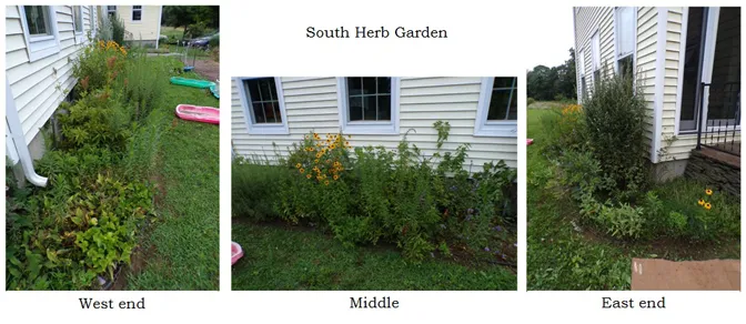 South Herb -  before collage text crop July 2024.jpg