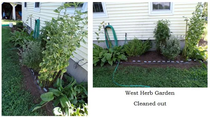 West Herb - cleaned out collage text crop July 2024.jpg