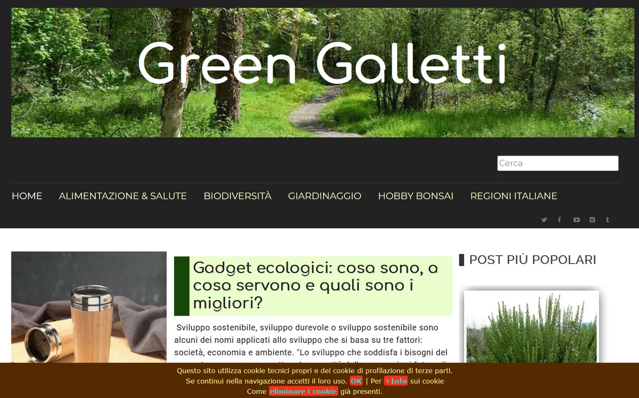 233.-La-privacy-en-el-mundo-blog-green-galletti.png