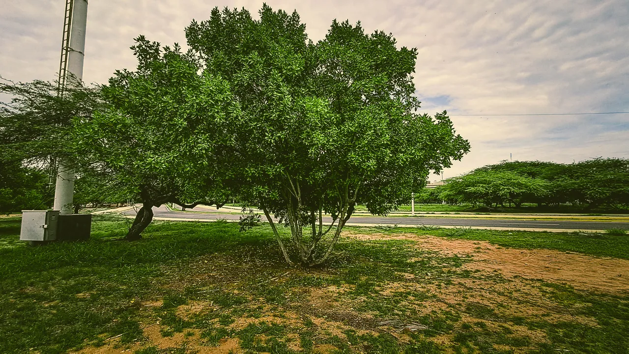 20240922_092740.jpg