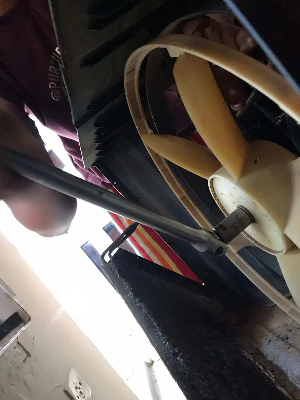 IMG_1163.jpeg