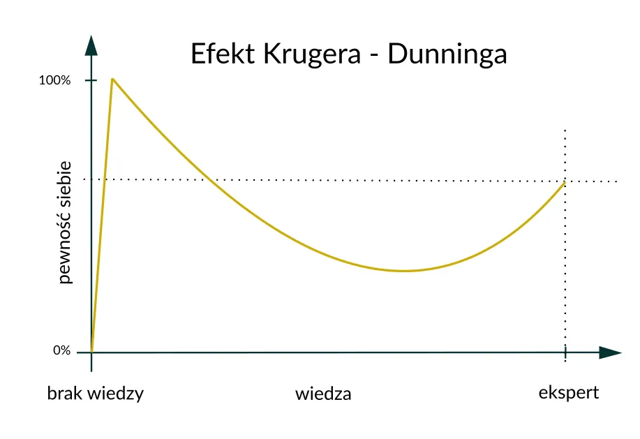 efekt-dk-blog-stronyireszta-2.png