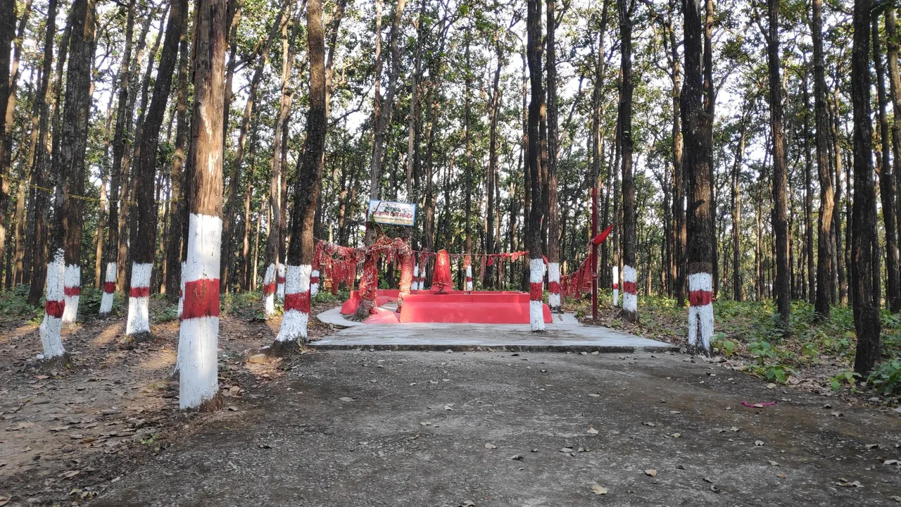 Nov Balbhagdra 01.jpg